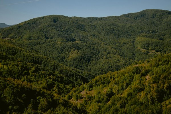 Découverte exclusive du magazine Who's Who