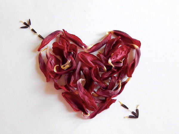 Quelle est la pertinence des philosophies de l'amour dans les relations modernes ?